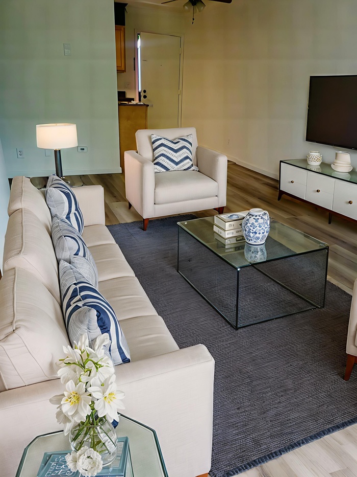 20250607_102514-Enhanced-0 - Living Room - Modern - 2